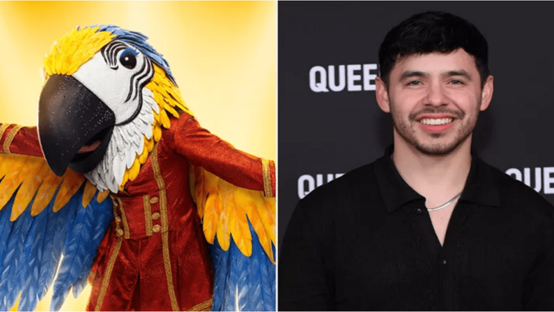 David Archuleta Calls ‘The Masked Singer’ Experience 15 Years After ‘American Idol’ ‘Healing’