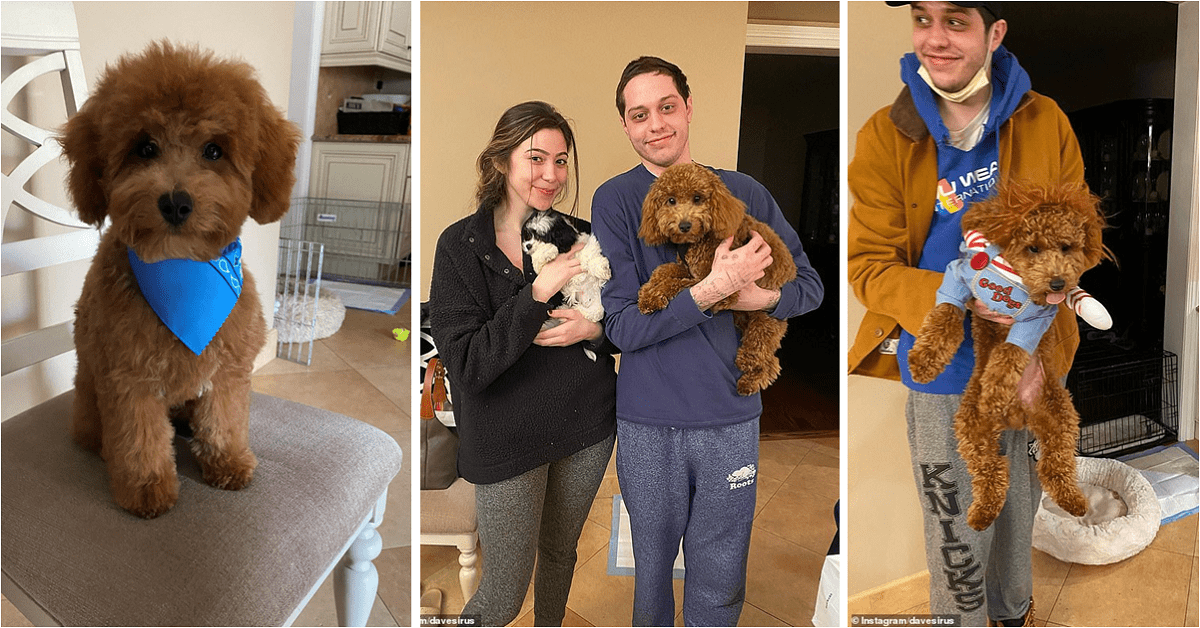Pete Davidson Slams PETA in Heated Voicemail for Criticizing Him for Buying Dog from Pet Store